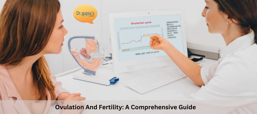 Ovulation And Fertility A Comprehensive Guide
